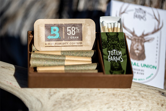 5 Common Questions About Boveda for Medical Cannabis