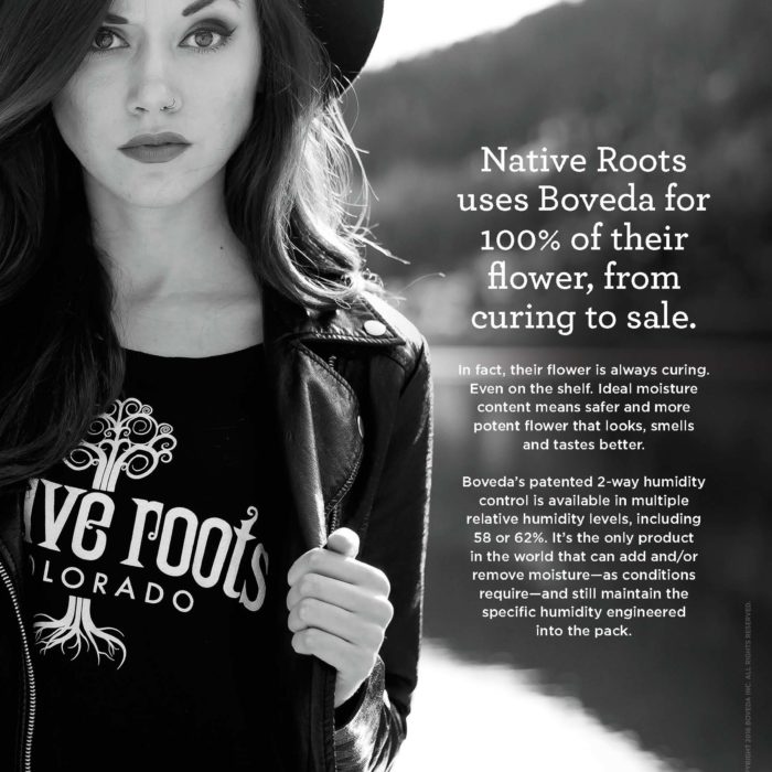Native Roots Packaging Cannabis with Boveda