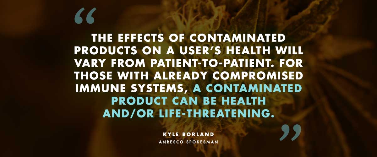 Anresco's Kyle Borland speaking of contaminated marijuana: "The effects of contaminated products on a user's health will vary from patient-to-patient. For those with already compromised immune systems, a contaminated product can be health and/or life-threatening."