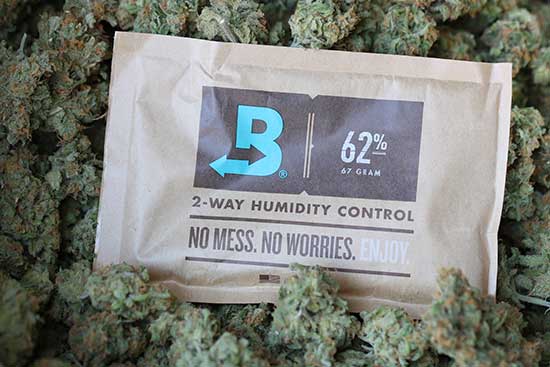 Your Cannabis Buds Deserve Boveda