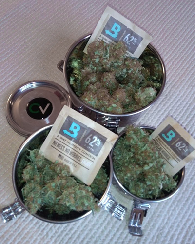 Cannabis Treated by Boveda