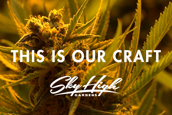 This is Our Craft | Sky High Gardens