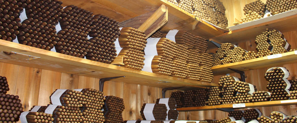 Half wheels of cigars in the aging room.