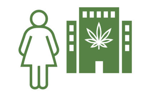 More Women in the Cannabis C-Suite