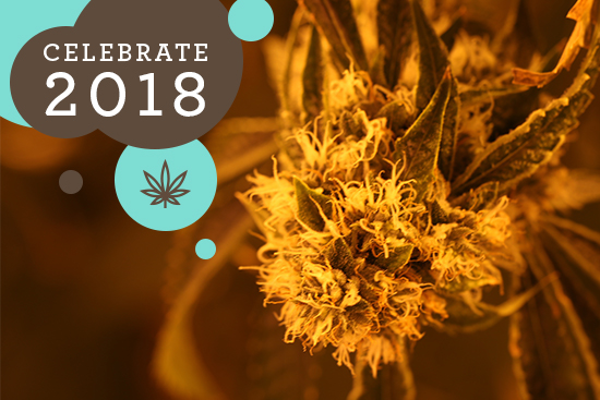 What a Year for Cannabis