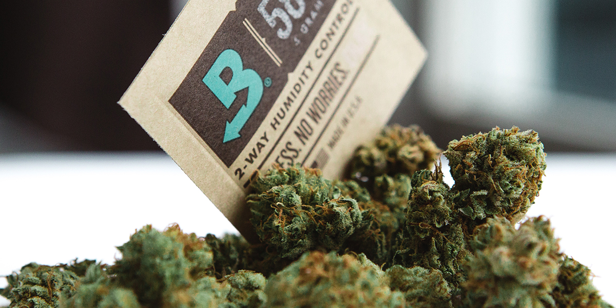 Boveda with Buds