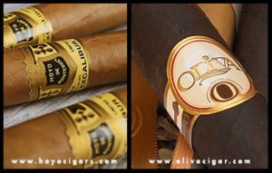 Cigar Comparison - Hoyo - Oliva
