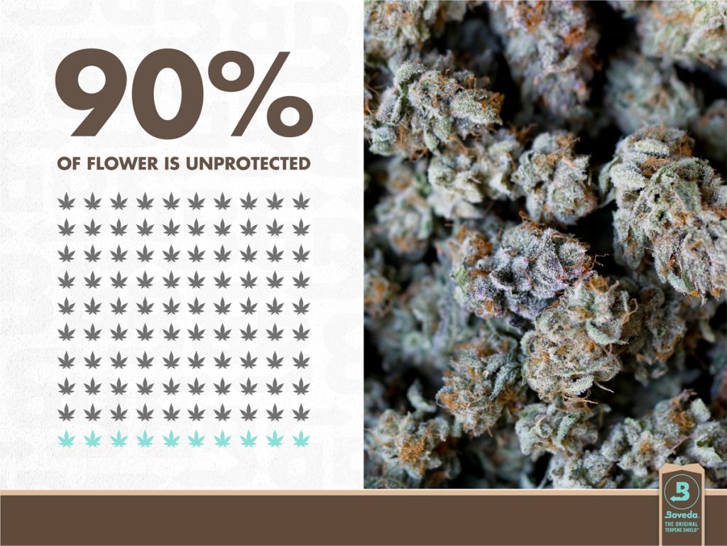 Cannabis needs a Boveda humidity pack to save terpenes and protect cannabis from drying out.