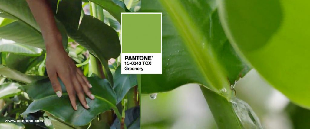 Pantone's color of 2017 was Greenery.