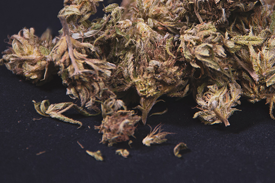 For Cannabis, Moisture Matters