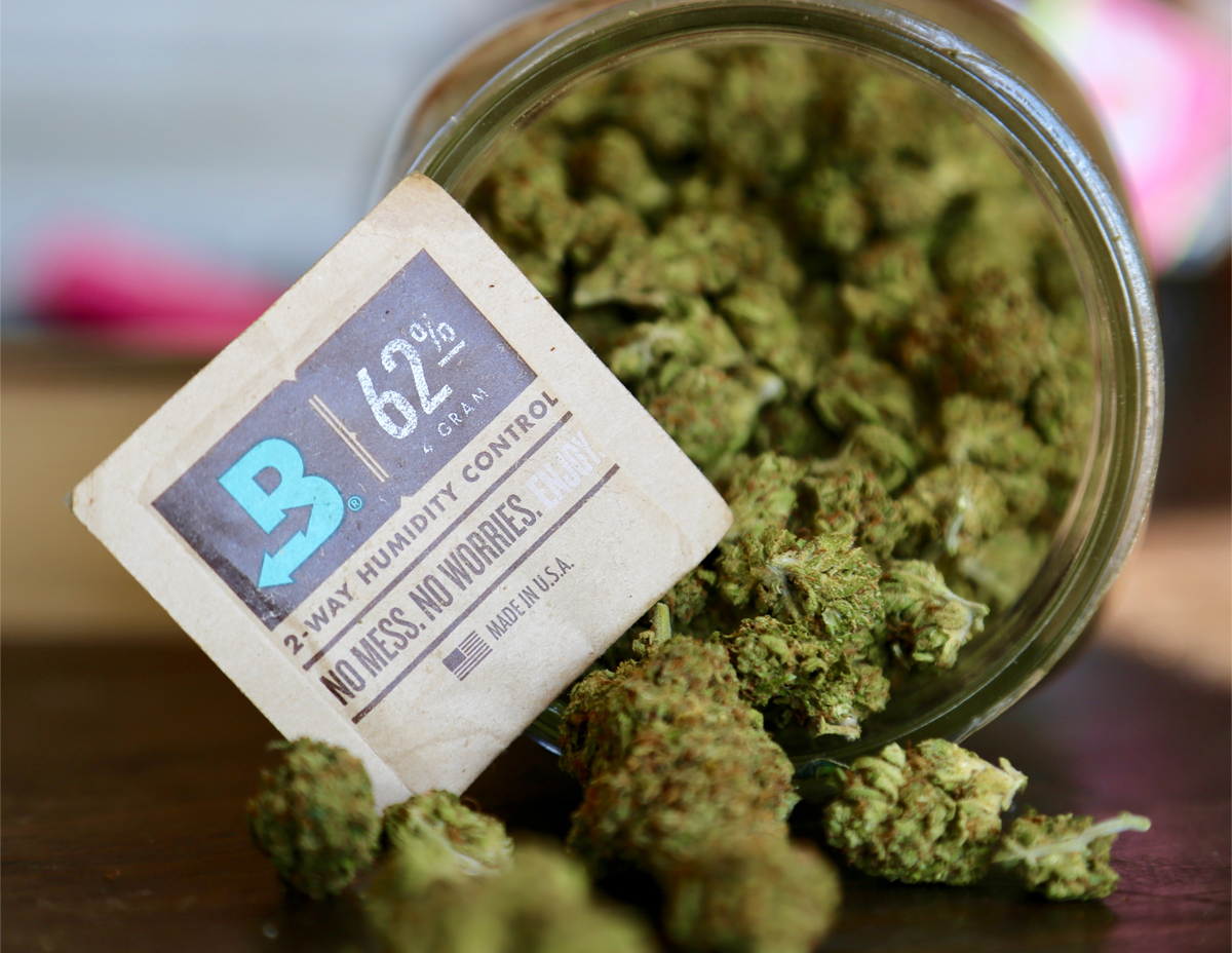 100 cannabis consumers and counting have taken the Boveda Challenge to prove to themselves how much better bud is with Boveda, the original terpene shield. #Savetheterps