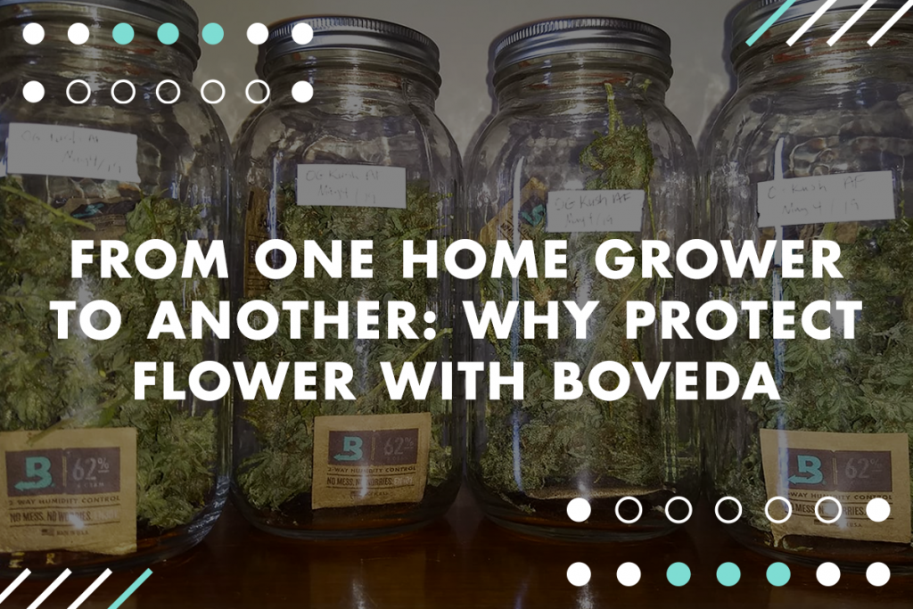 How to store cannabis with Boveda, the most effective humidity packet.