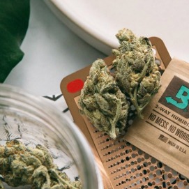 Cannabis flower and Boveda pack
