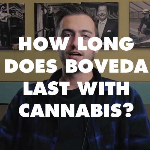 How Long Does Boveda Last With Cannabis?