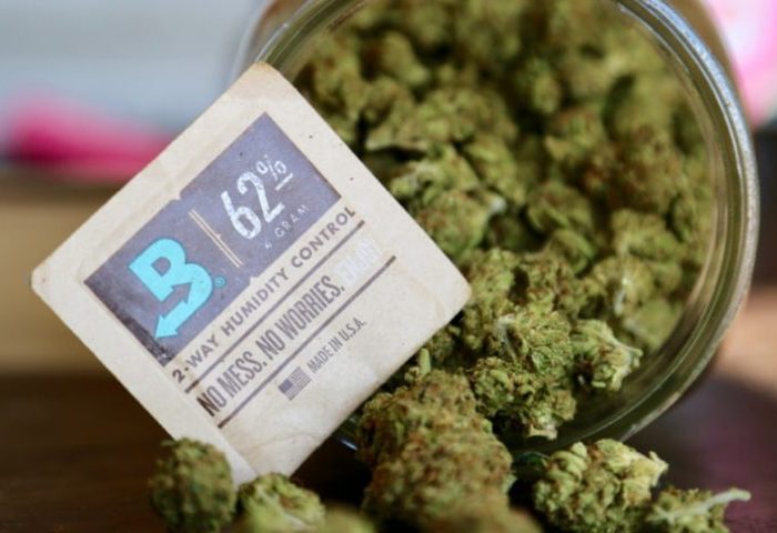 Boveda Challenge Confirms: My Flower’s Better with Boveda