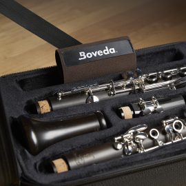 Boveda with clarinet