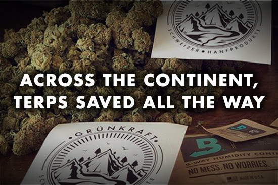 Why Boveda Entered the Fight Against Opioid Abuse
