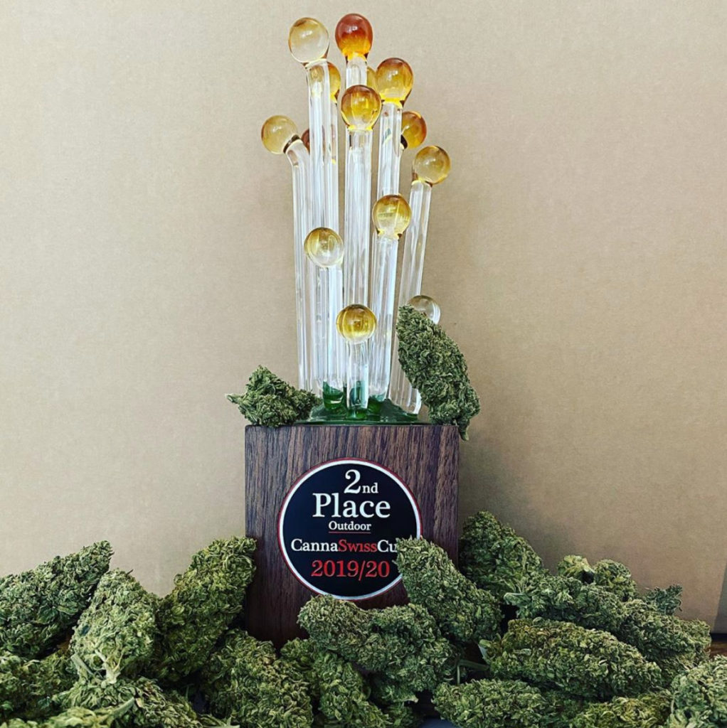 Save the terps, win the awards! Preserving the aroma, flavor and effects of Grünkraft's Harlequin CBD with a terp shield earned the grower a CannaSwiss Cup. 