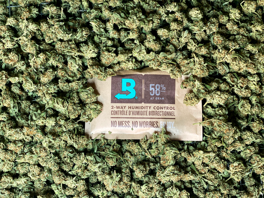Cultivators cure cannabis with the original terpene shield to keep trichomes from degrading while buds mature. The monolayer of water molecules created by Boveda coats trichomes to save the terps and protect cannabis's aroma, flavor and effects. 