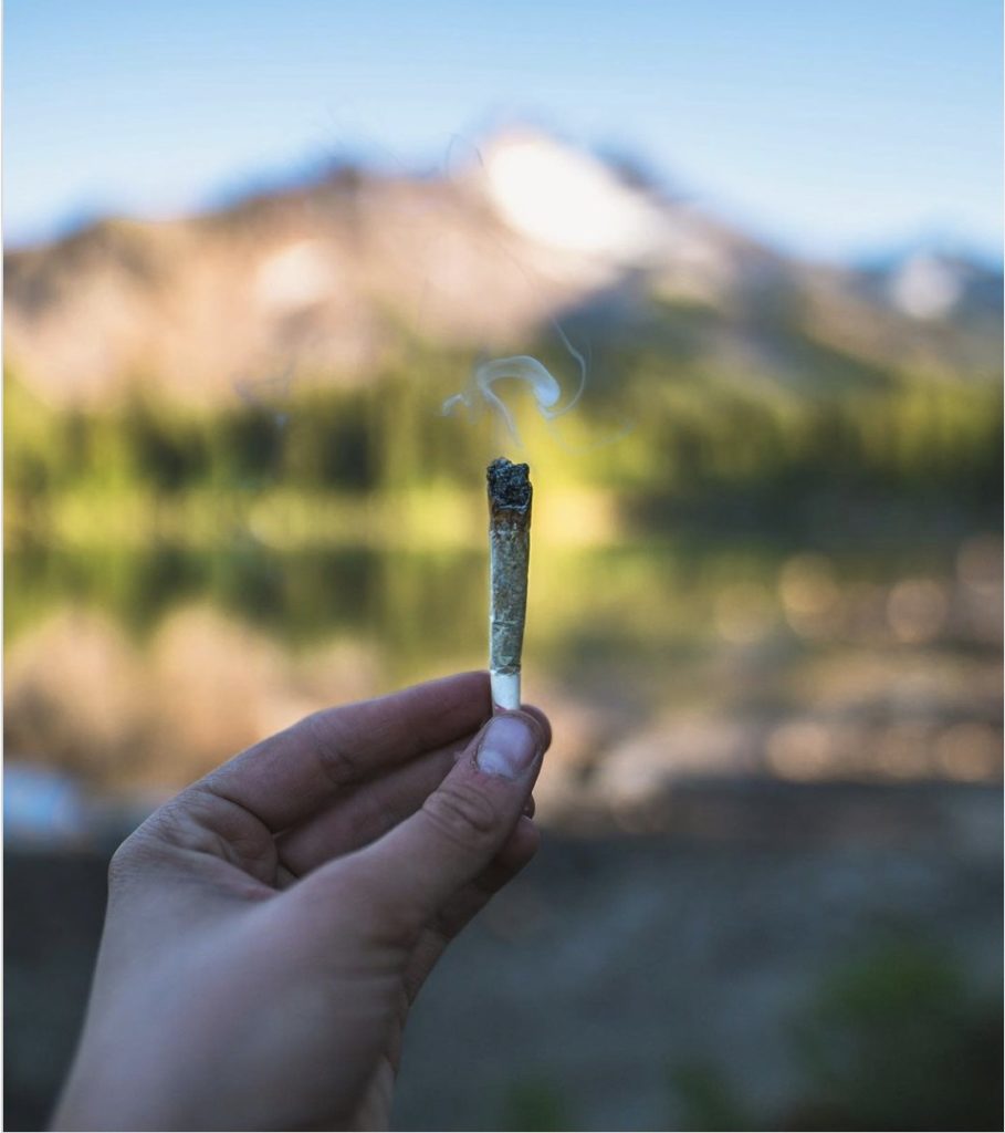 Totem Farms joints are protected by Boveda humidity packs.