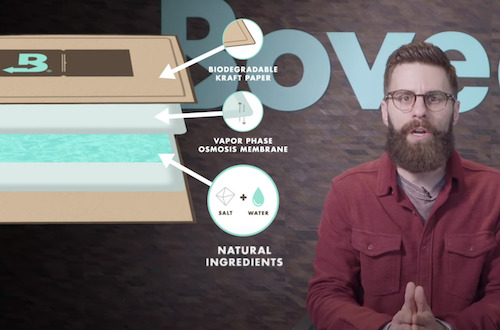 What Is Boveda Video