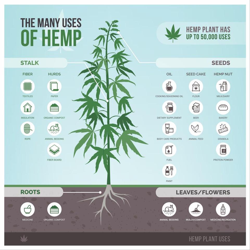 The Many Uses of Hemp, POTNETWORK, including smokable hemp flower that farmers protect with Boveda, the original terpene shield