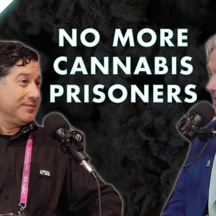 No More Cannabis Prisoners Feat Harvest Health & LPP | Cultivate Ep. 27
