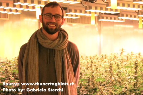 Gruenkraft hemp cannabis business uses Boveda.