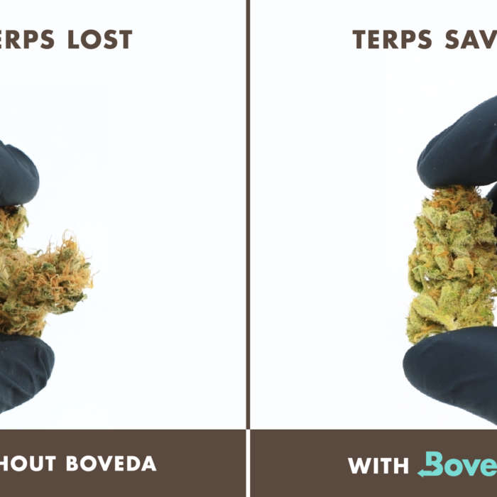 Why Do You Need a Terpene Shield?