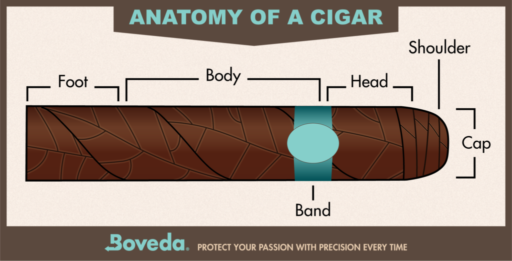 How to Put Out a Cigar - Boveda - Boveda® New Official-Site