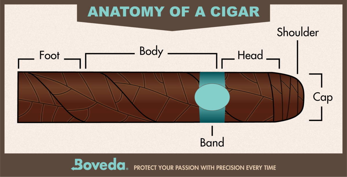 How to Properly Cut a Cigar Boveda