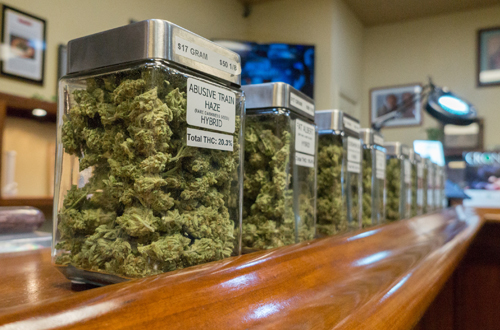 Is Your Dispensary Curing on the Shelf?