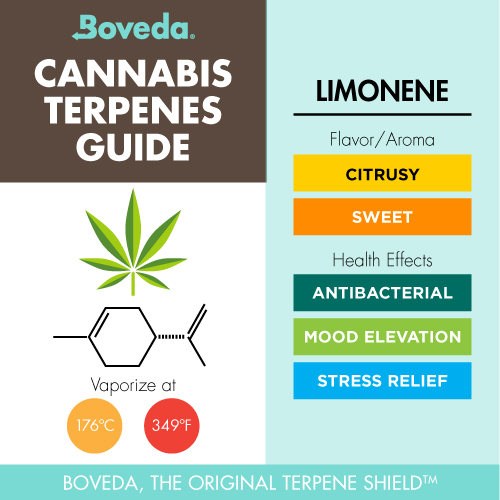 Limonene Terpene Info Graphic