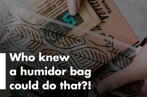 Top 6 Reasons Why You Need a Humidor Bag