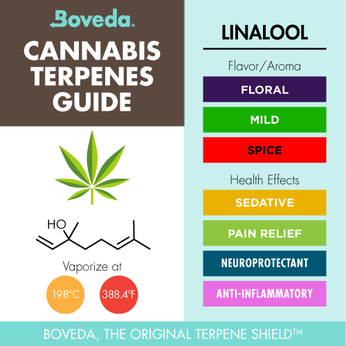 Infographic showing the flavor of and health effects for the Linalool Terpene