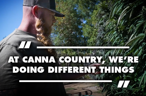 Canna Country Farms—A Humboldt Legacy