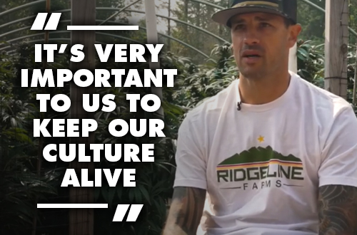 Ridgeline Farms—Fighting for Legacy Cannabis Culture