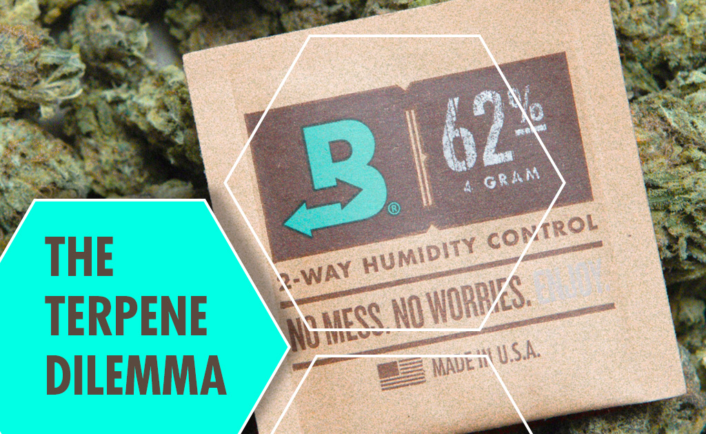Precise Humidity Control for Cannabis & Hemp - Science of Boveda