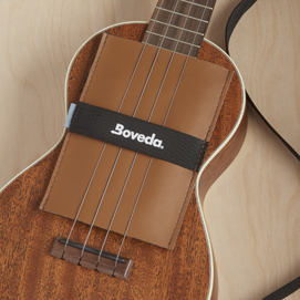 Boveda directional humidity control on a mandolin
