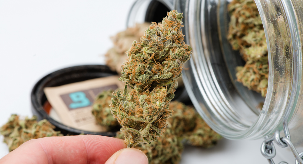 Potent and terpene-rich bud protected by Boveda