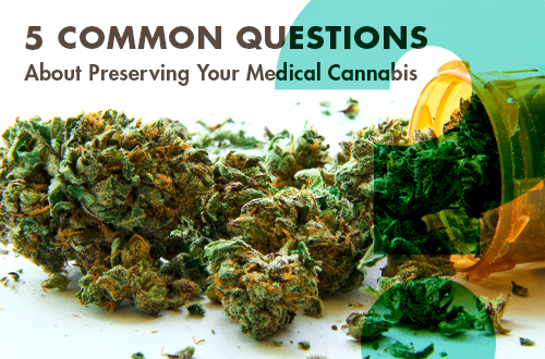 5 Questions About Preserving Medical Cannabis 