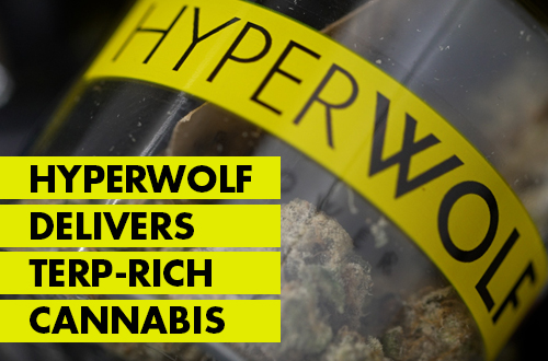 How California’s Hyperwolf Delivers Fresh Weed To 200K