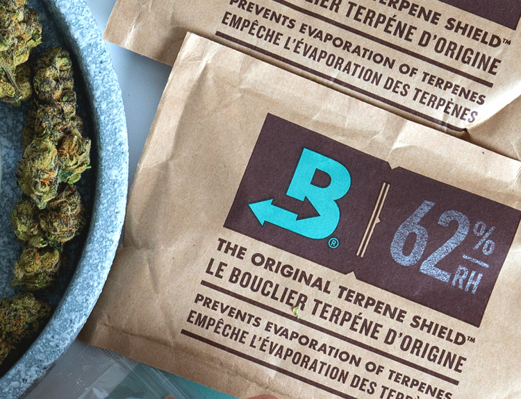 Boveda packet and cannabis buds in a tray.