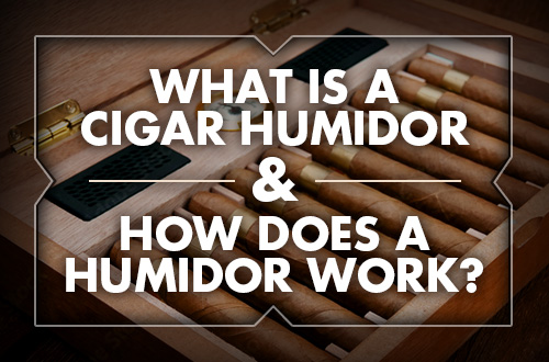 What is a Cigar Humidor & How Does a Humidor Work?