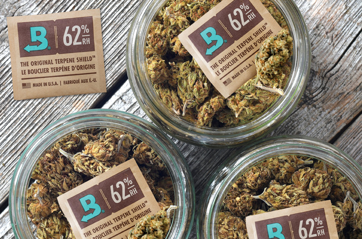 Storing Weed 101 - Cannabis - Boveda® New Official-Site