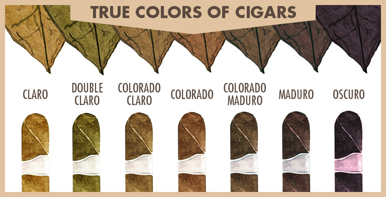 Ture Colors of Cigars -Claro, Double Claro Colorado Claro, Cortado, Colorado Maduro, Maduro, Oscuro leafs and cigars