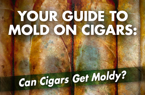 Your Guide to Mold on Cigars: Can Cigars Get Moldy?