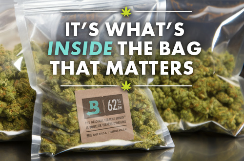 What You Need to Know About Storing Cannabis in Turkey Bags or Plastic Bags