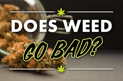 Does Weed Go Bad & How to Maximize Your Weed’s Lifespan