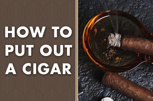 How to Properly Cut a Cigar